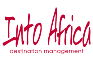 Into Africa